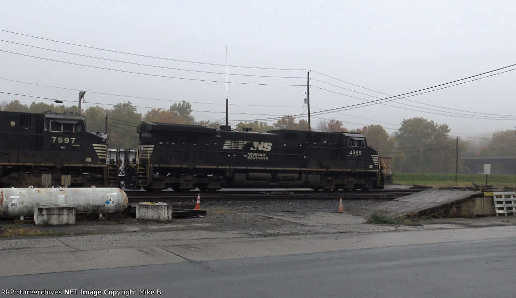 NS 4395